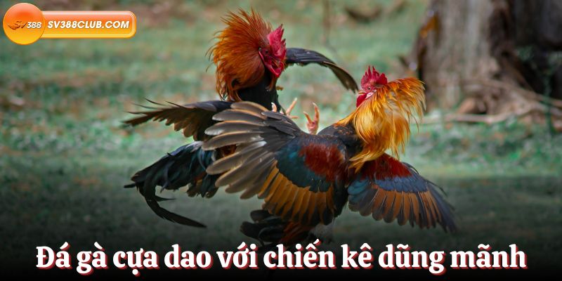 Hướng dẫn 23Win - Bạn đang muốn tìm thông tin nào về 23Win?